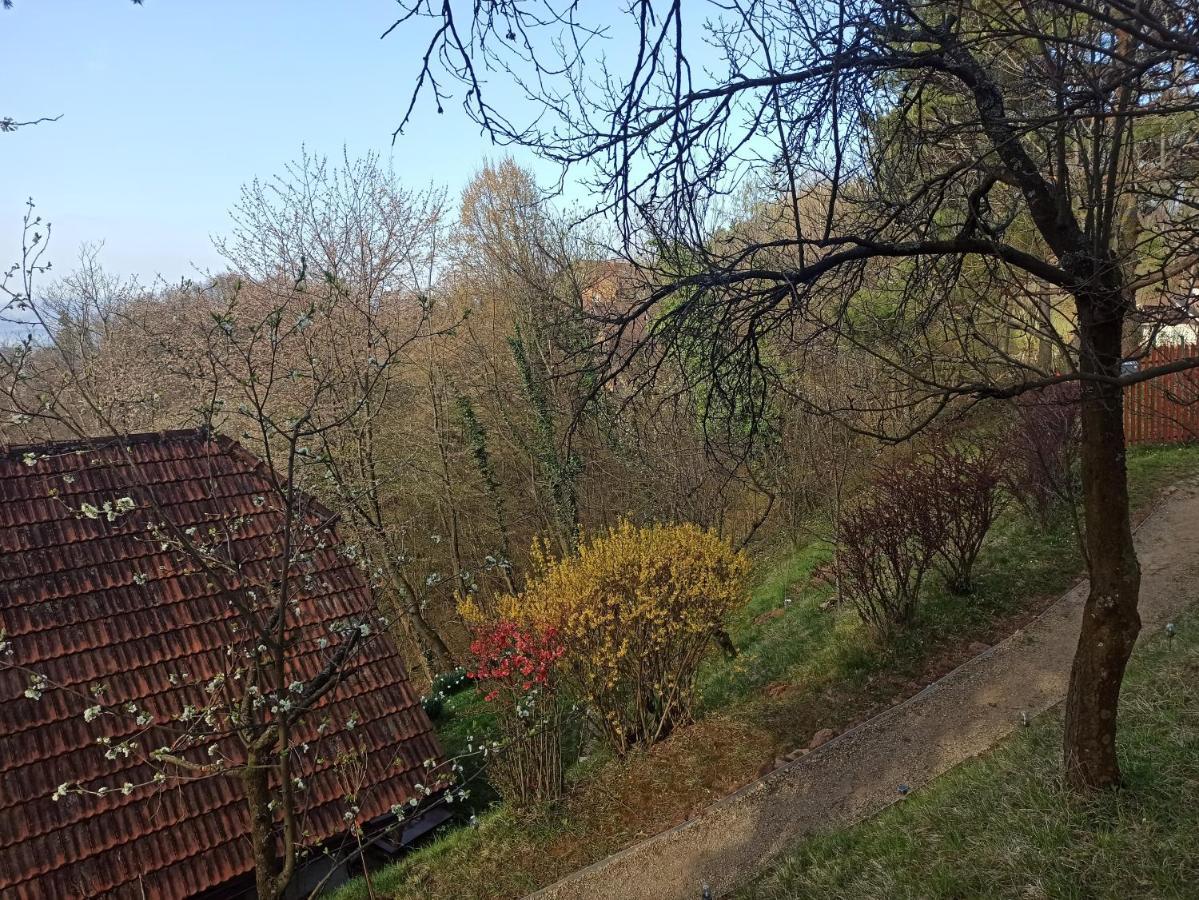 Serenity Dramlje Zewnętrze zdjęcie